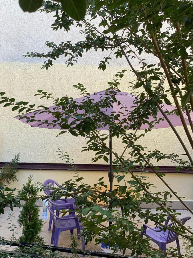 פריזרן Zani Hostel מראה חיצוני תמונה